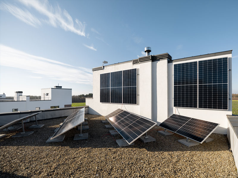 renewable energy